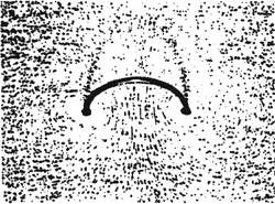 C) Current in a Loop of Wire